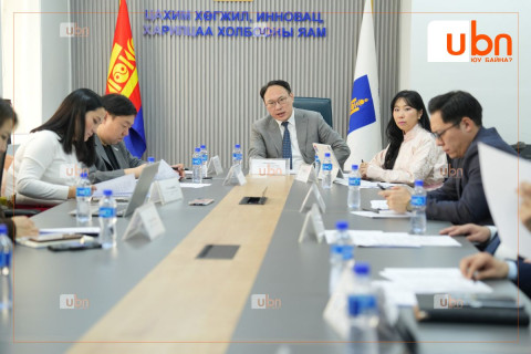 IT компаниудад татварын хөнгөлөлт үзүүлэх журмыг Засгийн газарт өргөн барихаар бэлтгэлээ