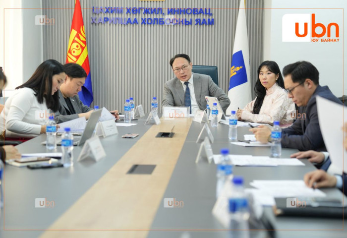IT компаниудад татварын хөнгөлөлт үзүүлэх журмыг Засгийн газарт өргөн барихаар бэлтгэлээ