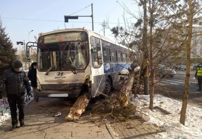 Нийтийн тээврийн автобус мод мөргөж, осолджээ