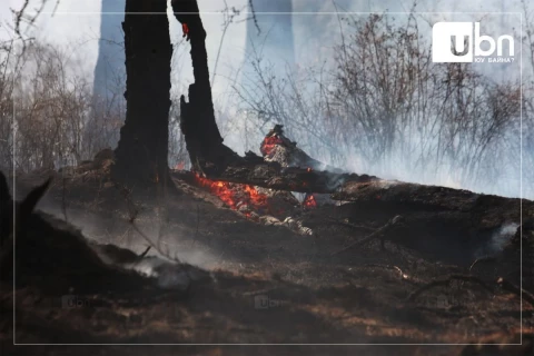 Гурван аймгийн нутаг дэвсгэрт ой хээрийн түймэртэй байна