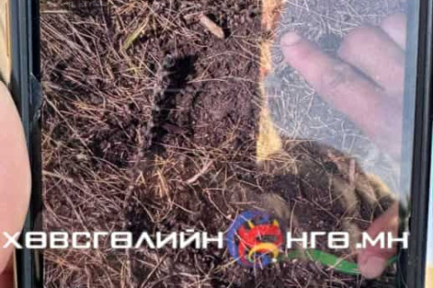 “Хүүхдийн мөр биш“ болох нь тогтоогджээ