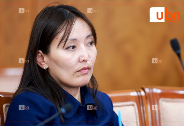 Б.Уянга: Ж.Баярмаа гишүүний түр хороо байгуулах асуудлыг улстөржилт гэж харсан учраас ДЭМЖЭЭГҮЙ