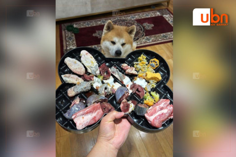 Х.Нямбаатар: Манай охин тэжээж байгаа нохойндоо JERKY /хатаасан мах/ бэлдэж, түүнийгээ инстаграммаар сурталчилж, зардаг нь хууль бус юм уу